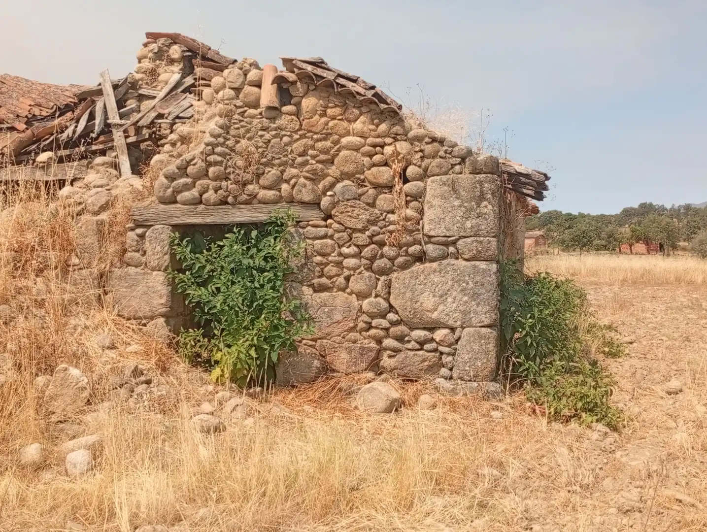 Terreni e lotti in vendita a Villanueva de la Vera, imagen 40