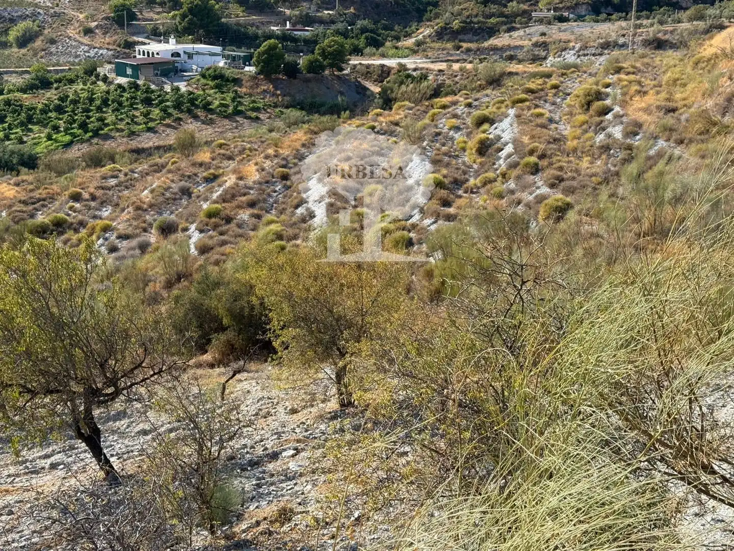 Grundstücke zum Verkauf in Vélez de Benaudalla