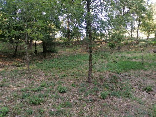 Terreno residencial en Venta en Arbúcies