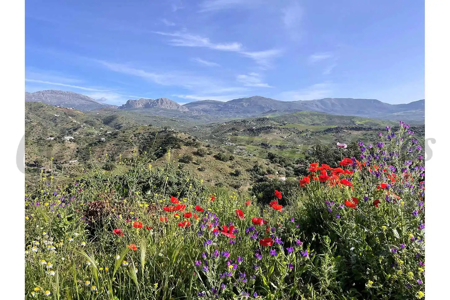 Xalet amb jardí en venda a Comares, imagen 4