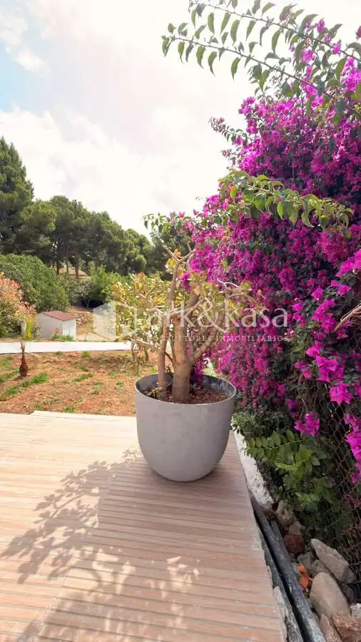 Jardí de Casa o xalet de lloguer en Sagunto / Sagunt amb Aire condicionat, Jardí privat i Terrassa