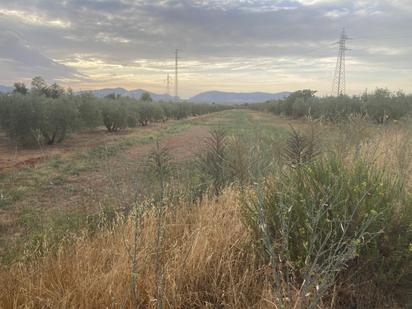 Finca rústica en venda a Albolote