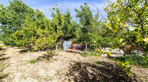 Finca de recreo de 4.500 m en la Alpujarra casa de 240 m, apartamento independiente, piscina y vistas a Sierra Nevada  295.000, imagen 4