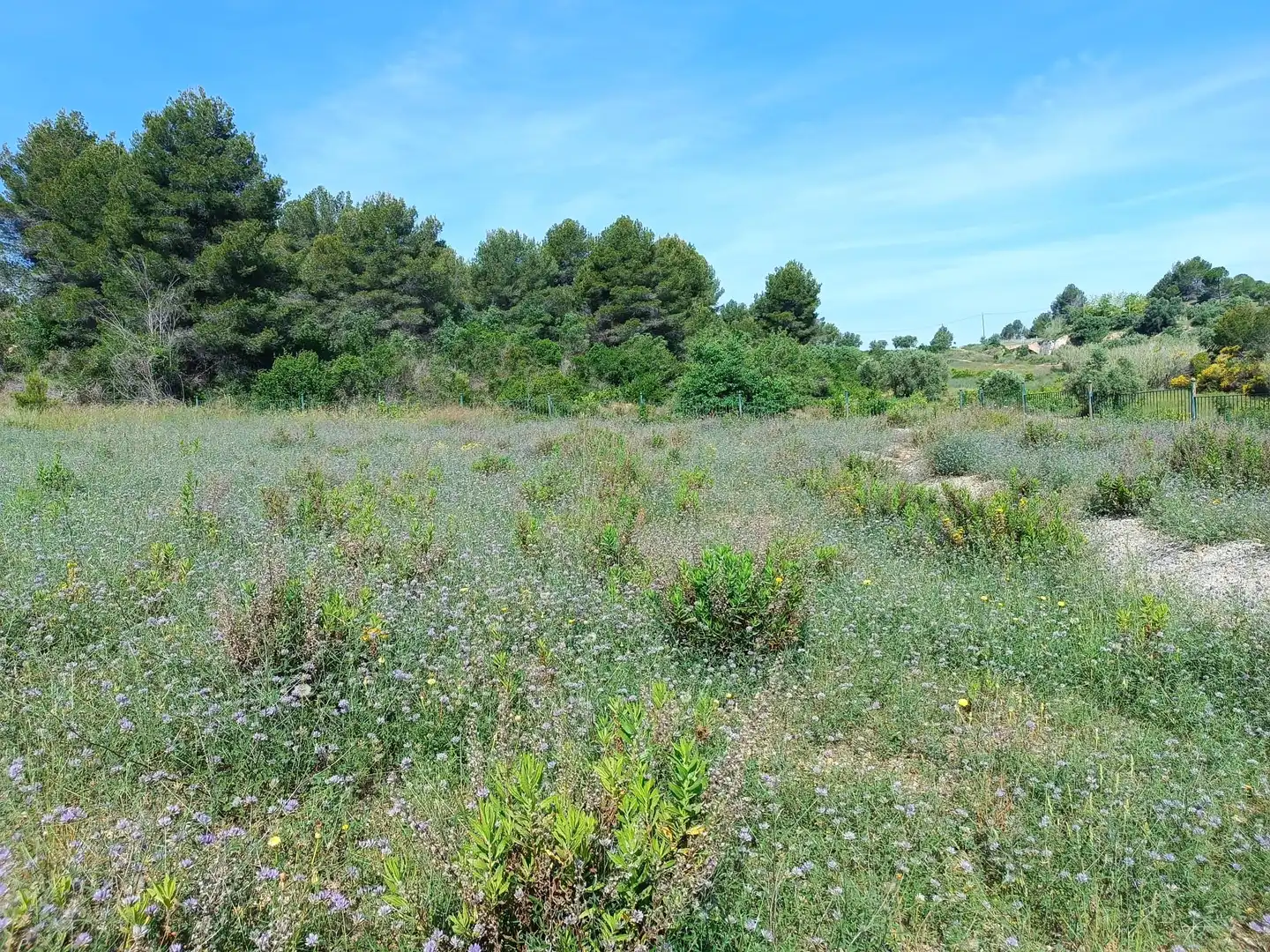 Terreno residencial en venta en Sant Esteve Sesrovires, imagen 2