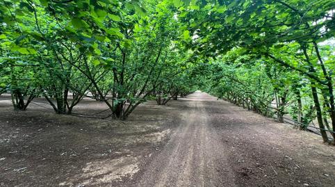 Photo 4 of Land for sale in  la Selva del Camp, La Selva del Camp, Tarragona
