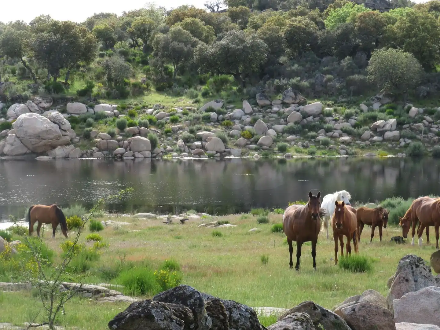 Terrenys i solars en venda a Ledesma, imagen 13
