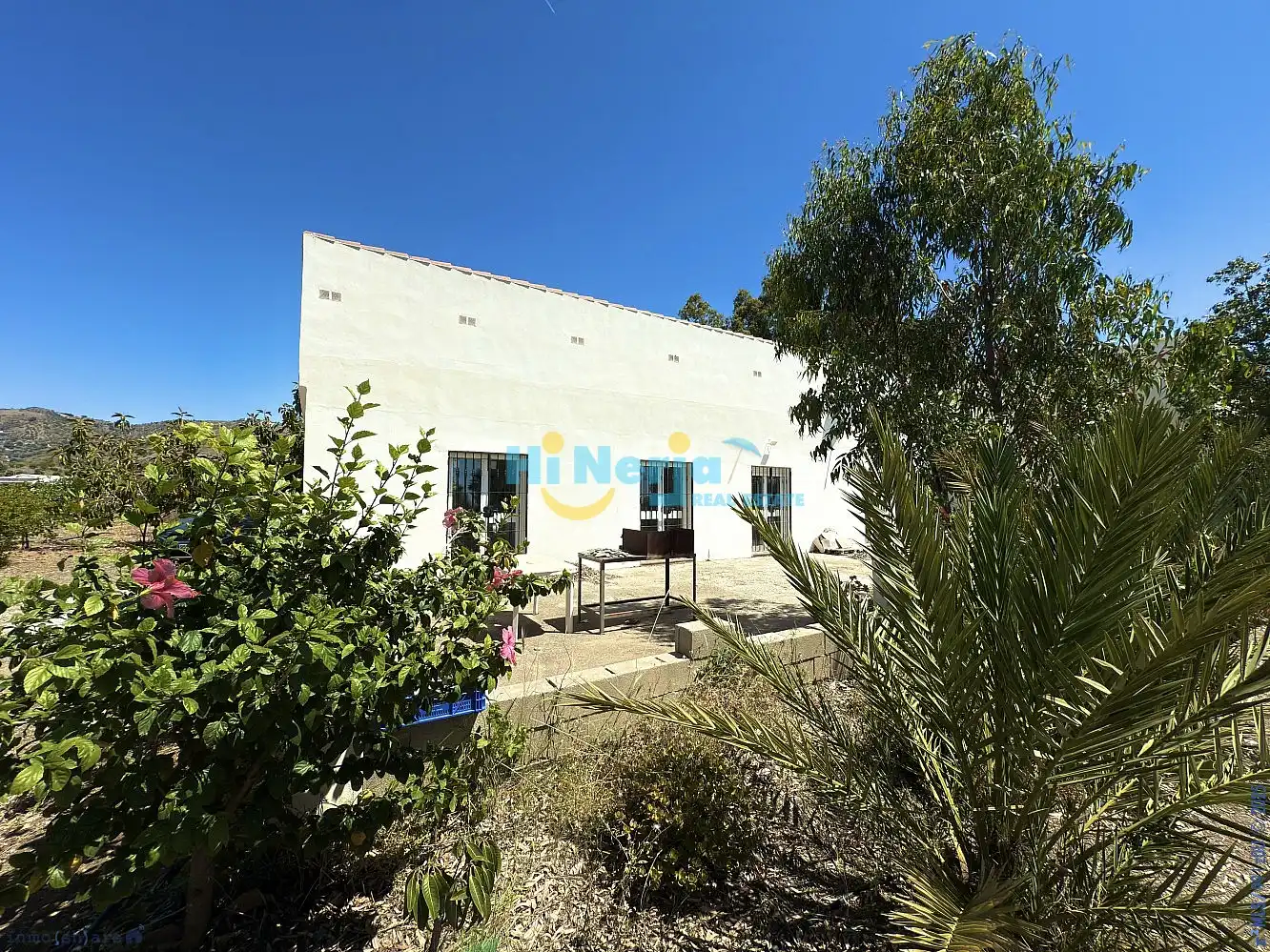 Vista exterior de Finca rústica en venta en Vélez-Málaga
