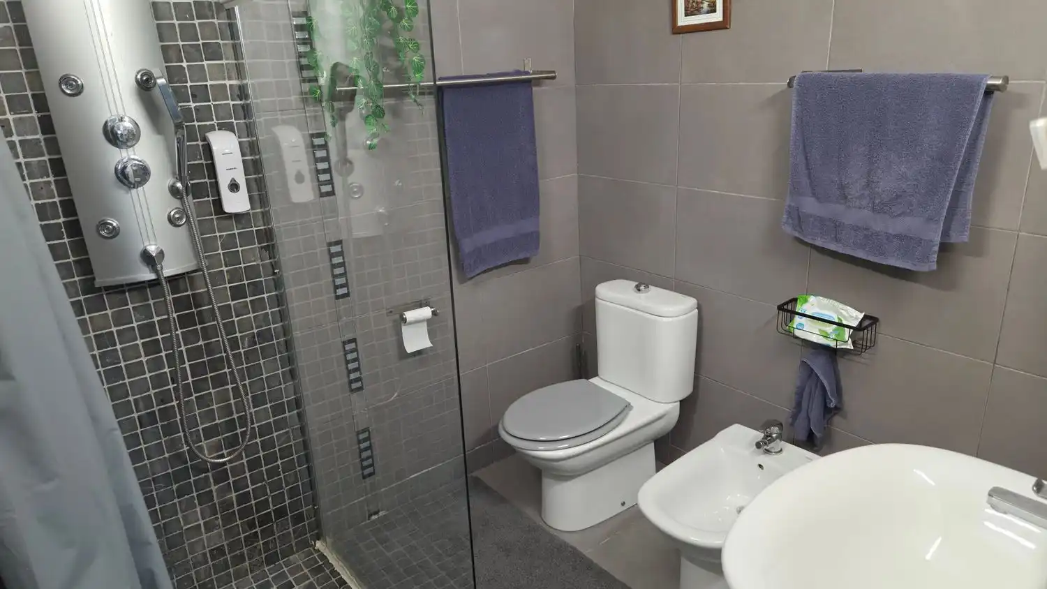 Baño de Casa o chalet en venta en La Garita - Marpequeña