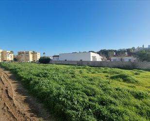 Land for sale in Marchena