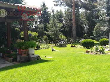 House with pool for sale in Basardilla