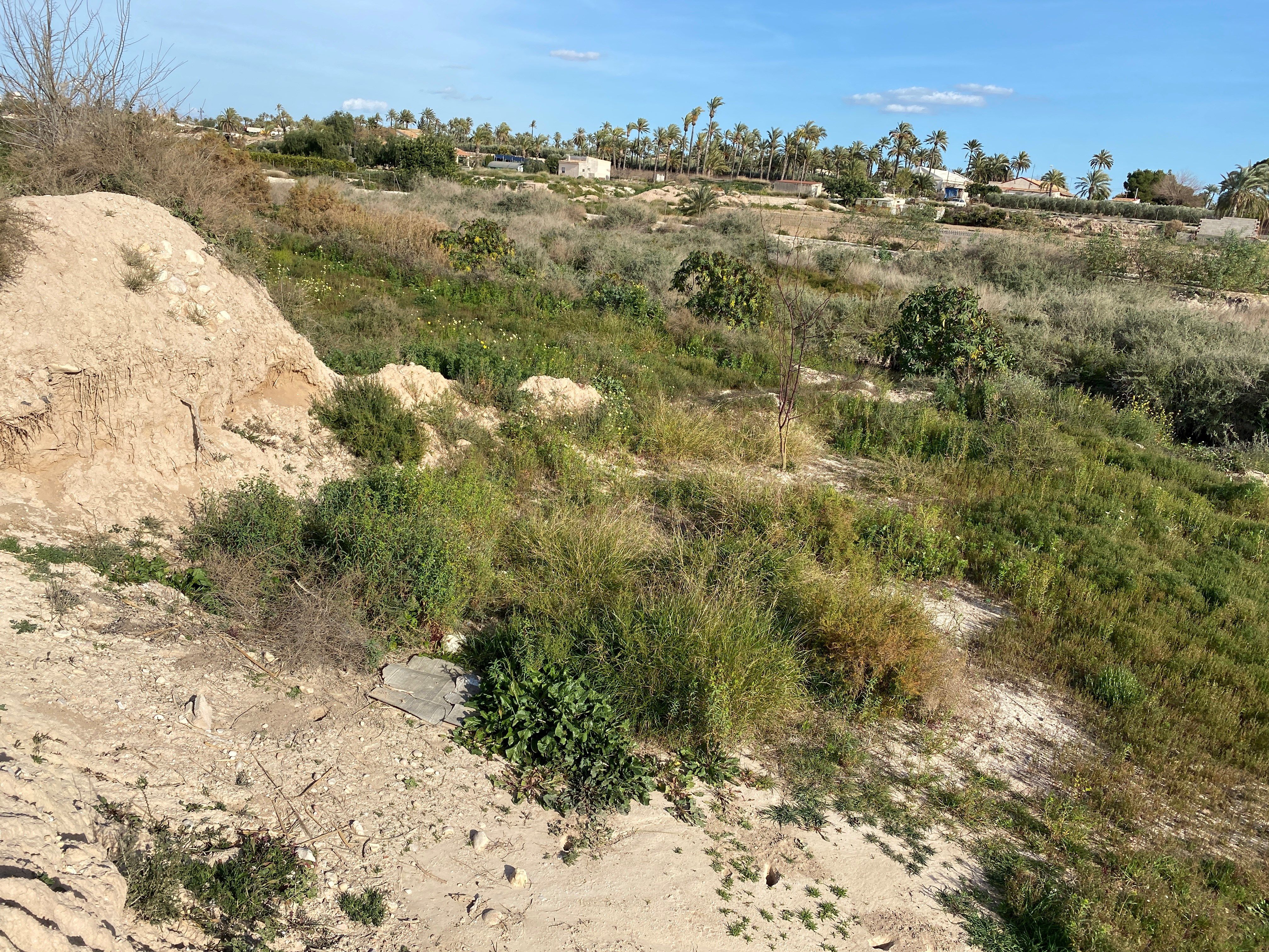 Residencial en venda en Elche / Elx