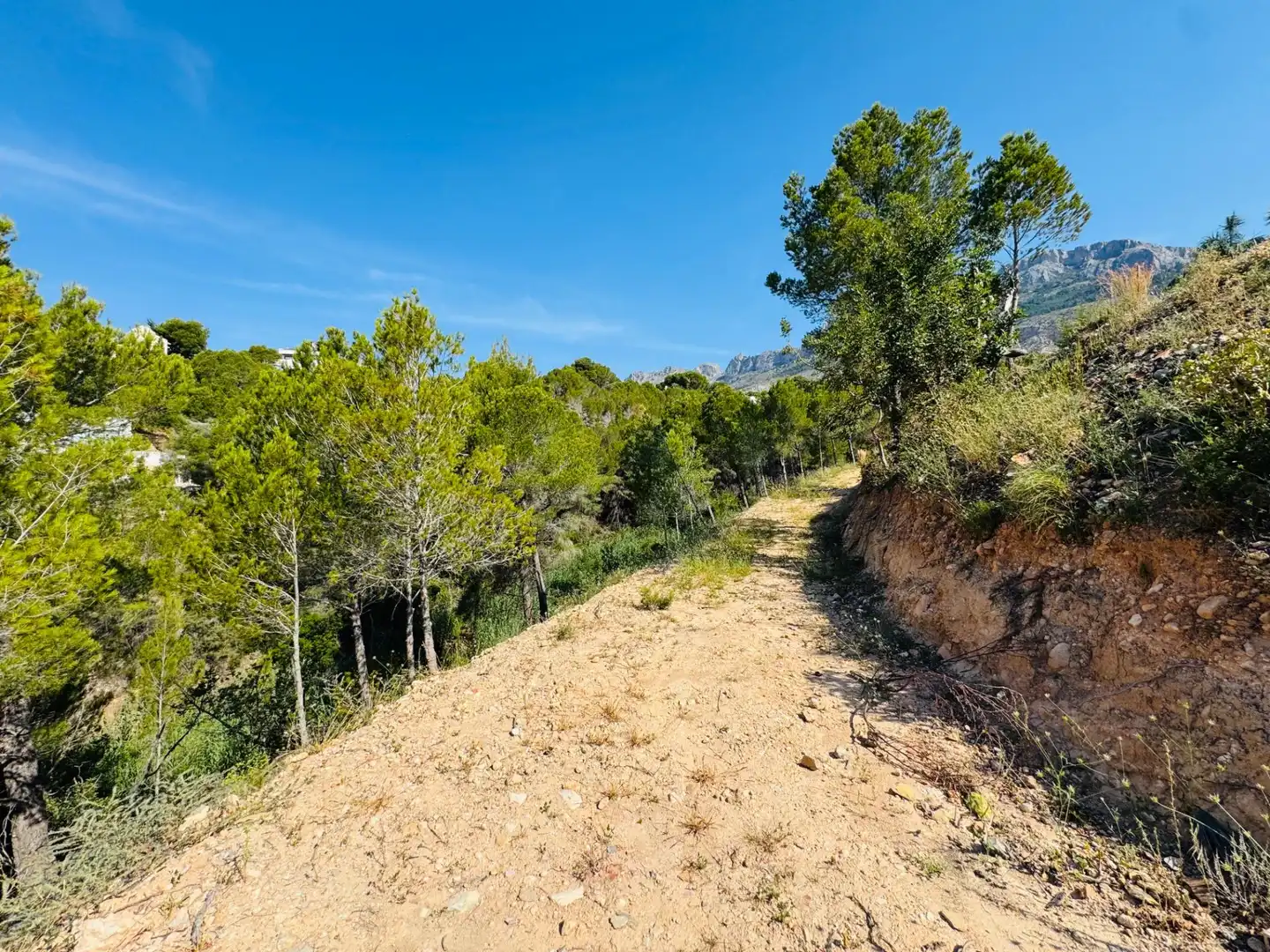 Terreny residencial en venda a Altea la Vella, imagen 14