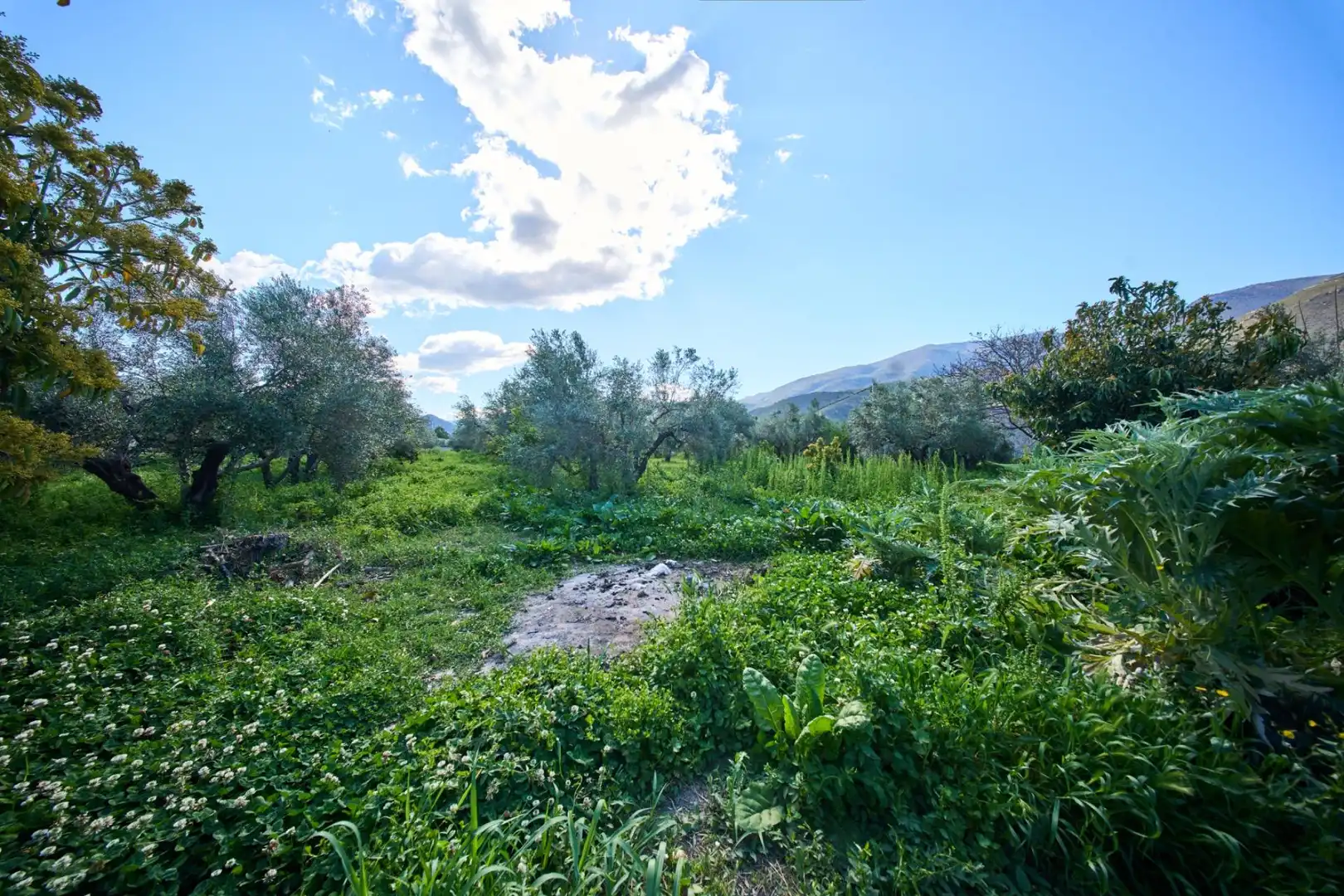 Casa rústica amb jardí en venda a Camino de la Vegueta, imagen 43