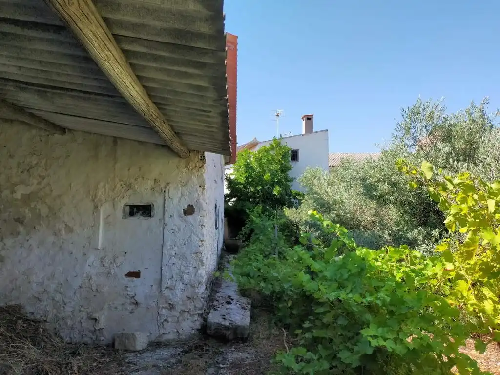Jardín de Casa o chalet en venta en Villarrubio