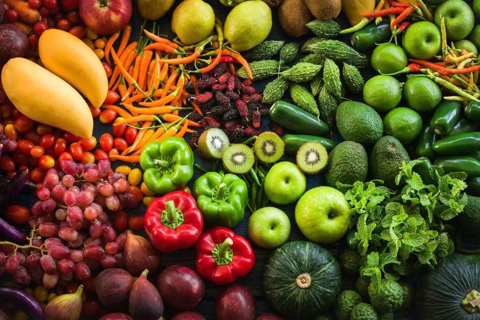 Garten von Geschaftsraum zur Miete in Picanya