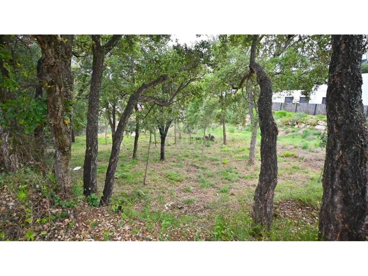 Residencial de alquiler en Calonge i Sant Antoni
