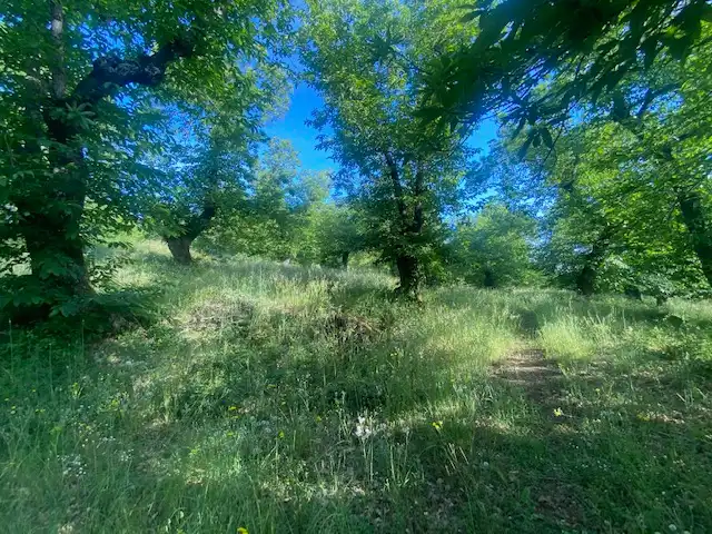 Terreni e lotti in vendita a Fuenteheridos, imagen 2