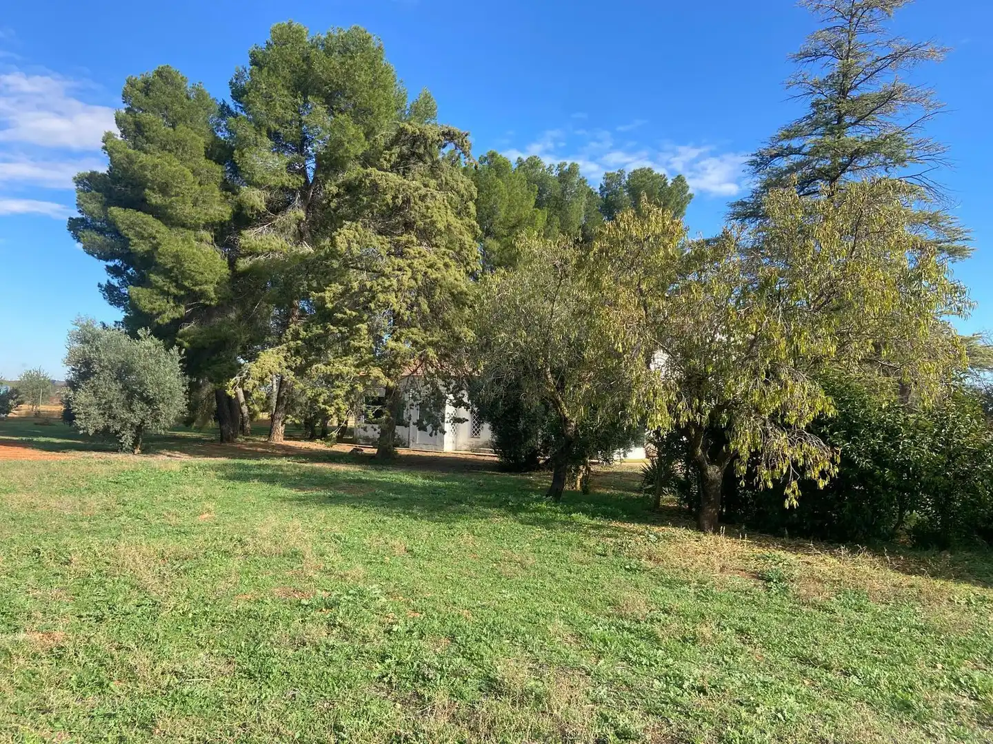 Casa o chalet en venta en Almagro con Aire acondicionado, Calefacción y Jardín privado
