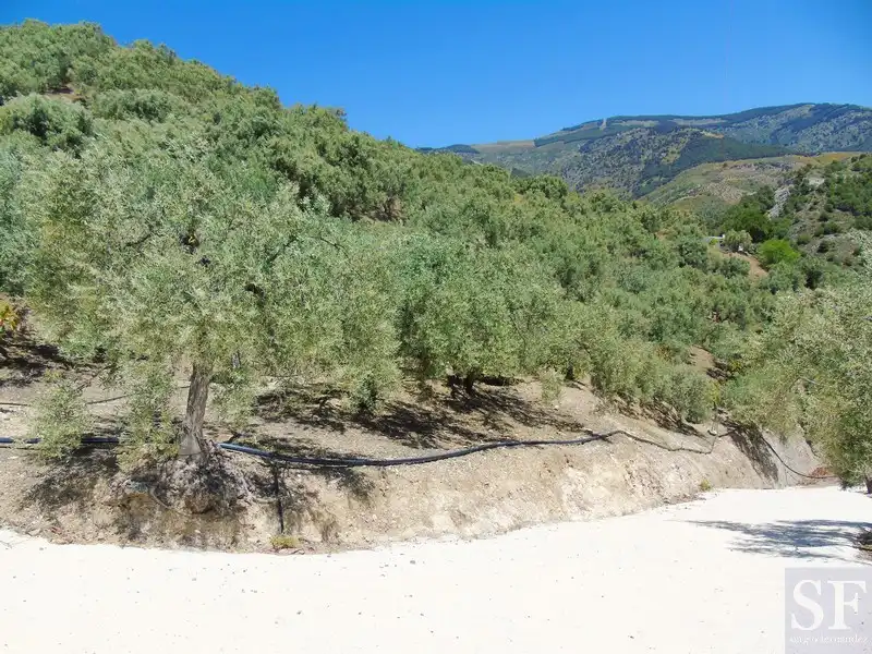 Casa rústica en venda a Canillas de Albaida, imagen 7