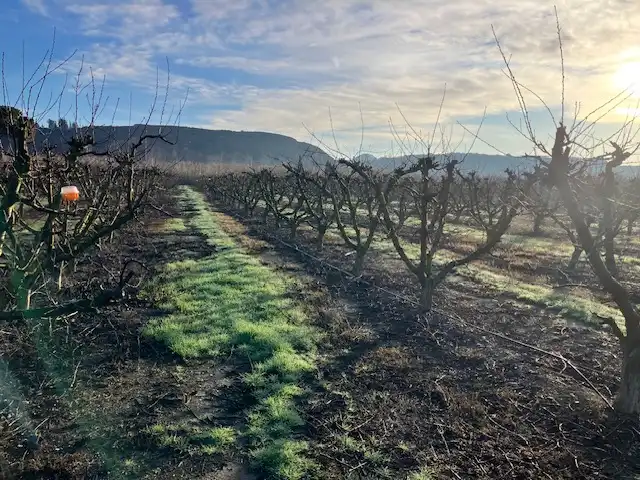 Terreni e lotti in vendita a Fraga, imagen 9