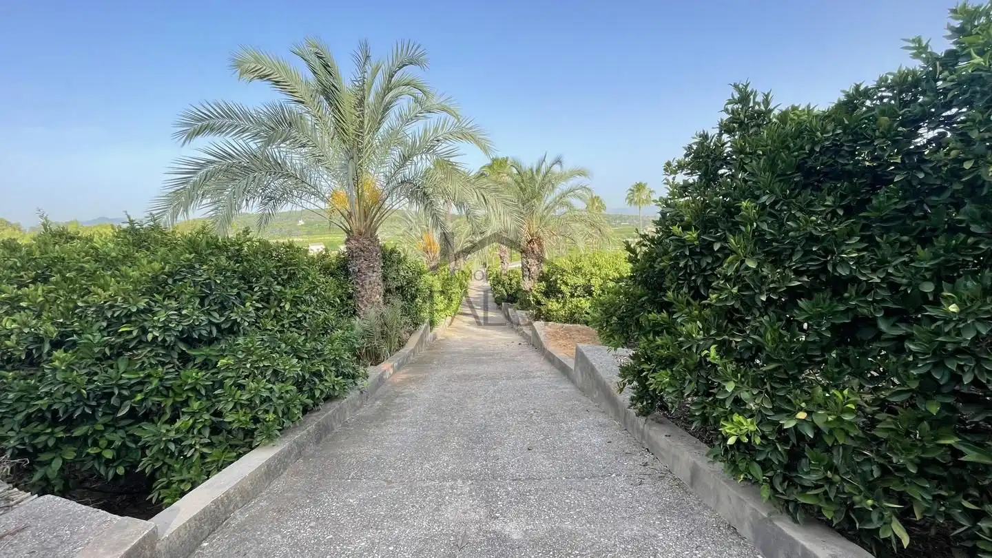 Vista exterior de Finca rústica en venta en Carcaixent con Jardín privado, Terraza y Trastero