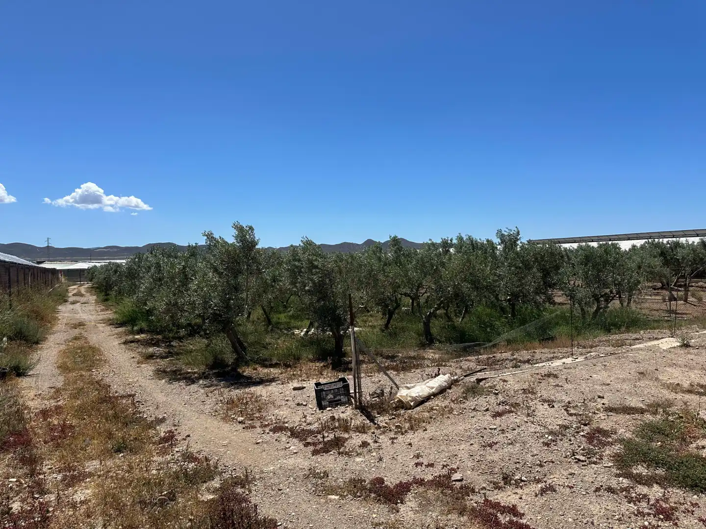 Finca rústica en venda en Níjar amb Moblat