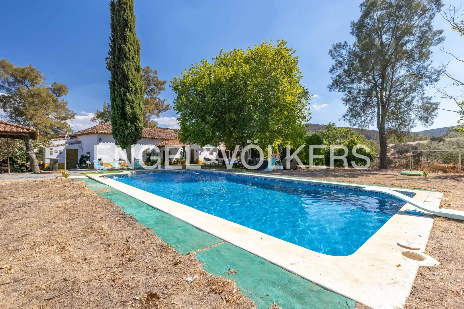 Swimming pool of Houses for sale in Aracena, Huelva
