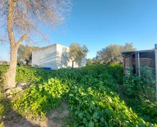 Finca rústica en venda en Utrera