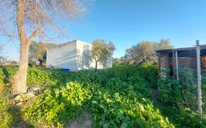 Finca rústica en venda en Utrera