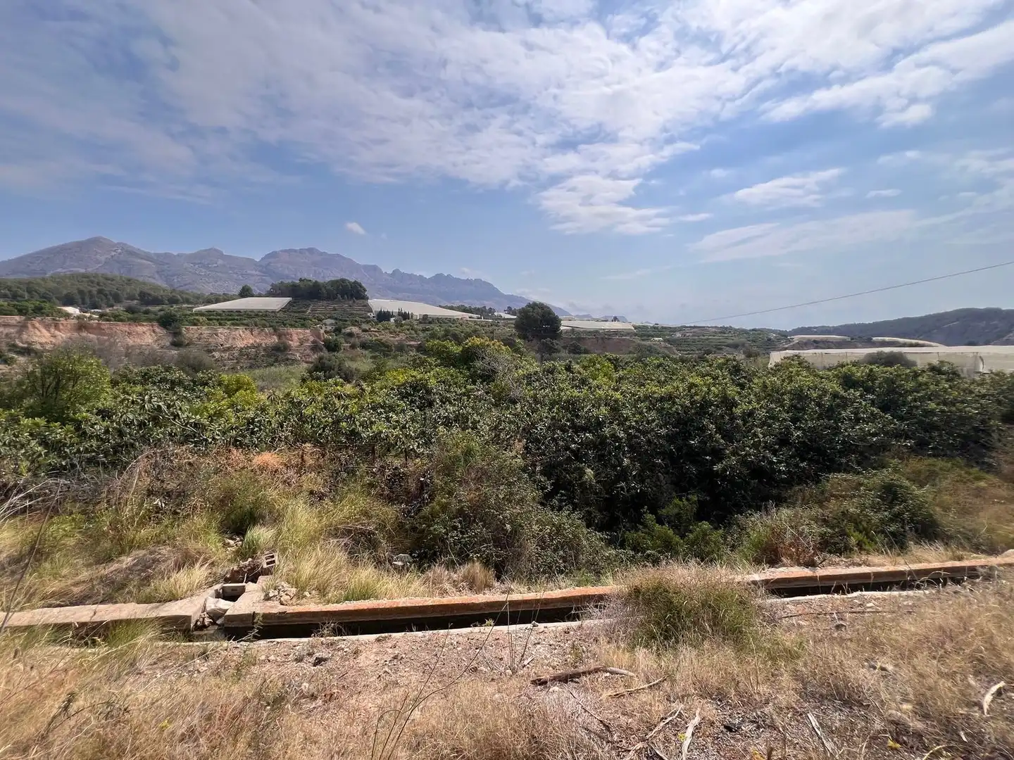 Terrain rustique à vendre à pesauro, imagen 7