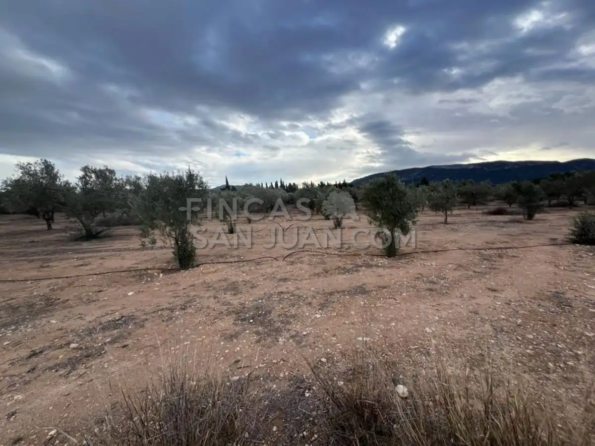 Country homes for sale in Biar