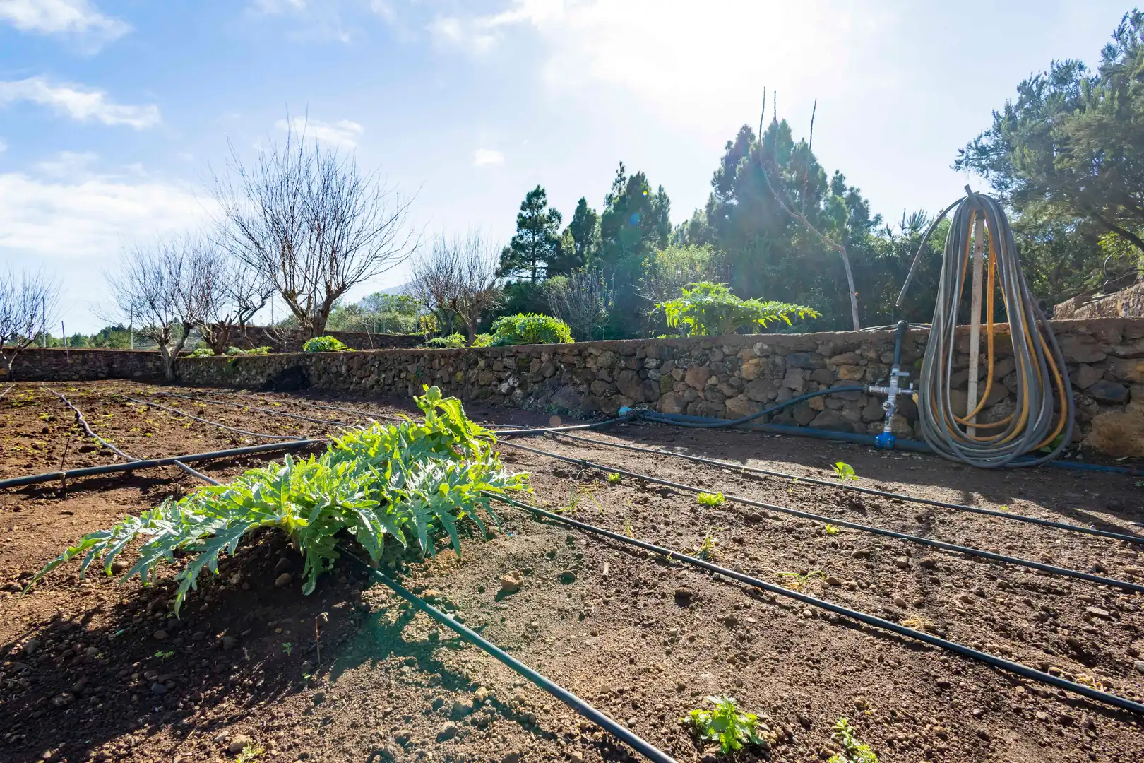 Jardí de Finca rústica en venda en El Tanque amb Calefacció, Jardí privat i Terrassa
