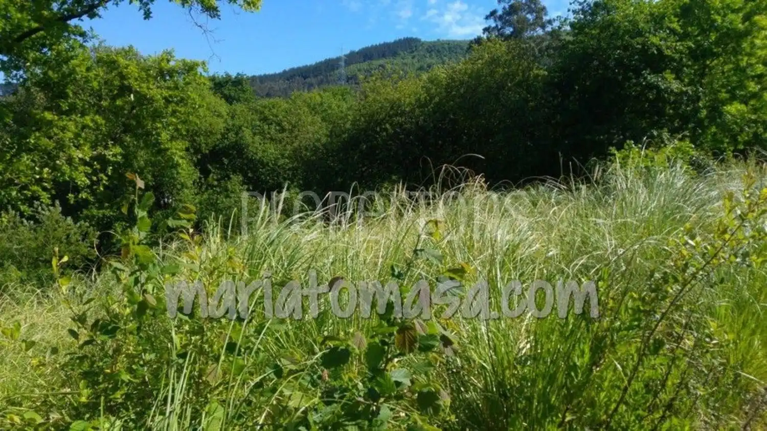 Lands and plots for sale in Mungia, imagen 9