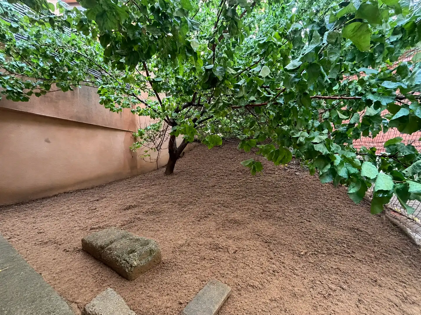 Terrenys i solars en venda a Gelida, imagen 8