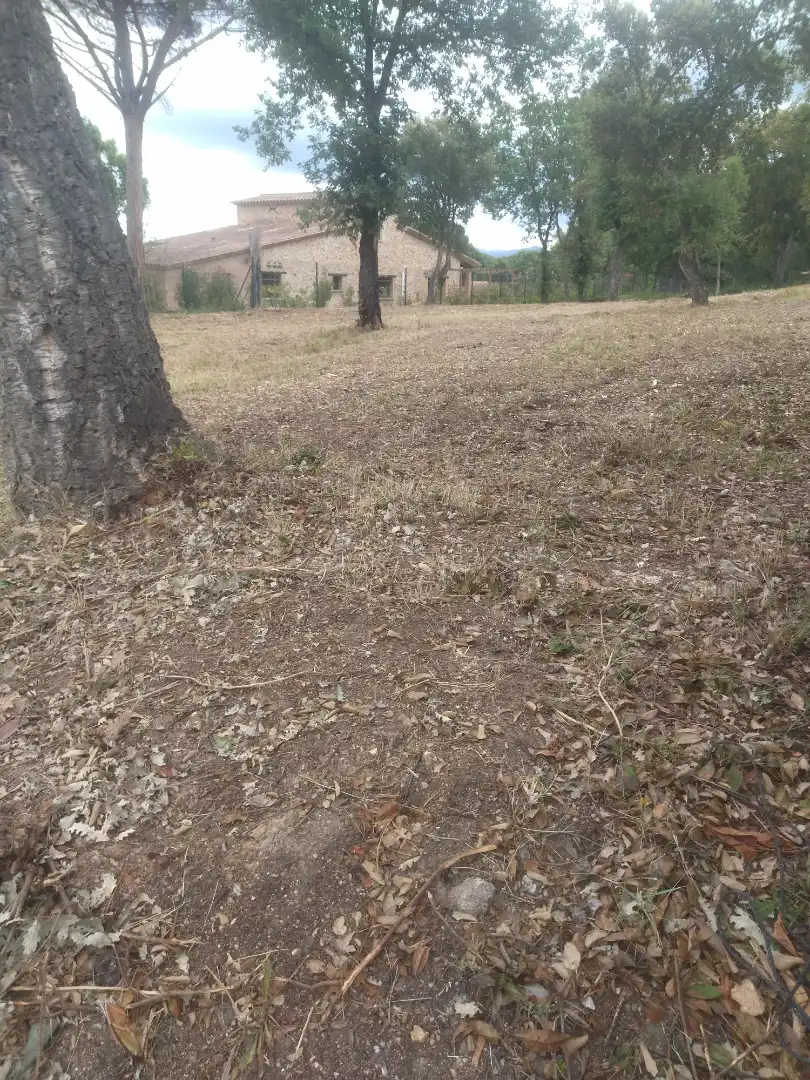 Residential land for sale in Avinguda d'Espanya 39, imagen 8