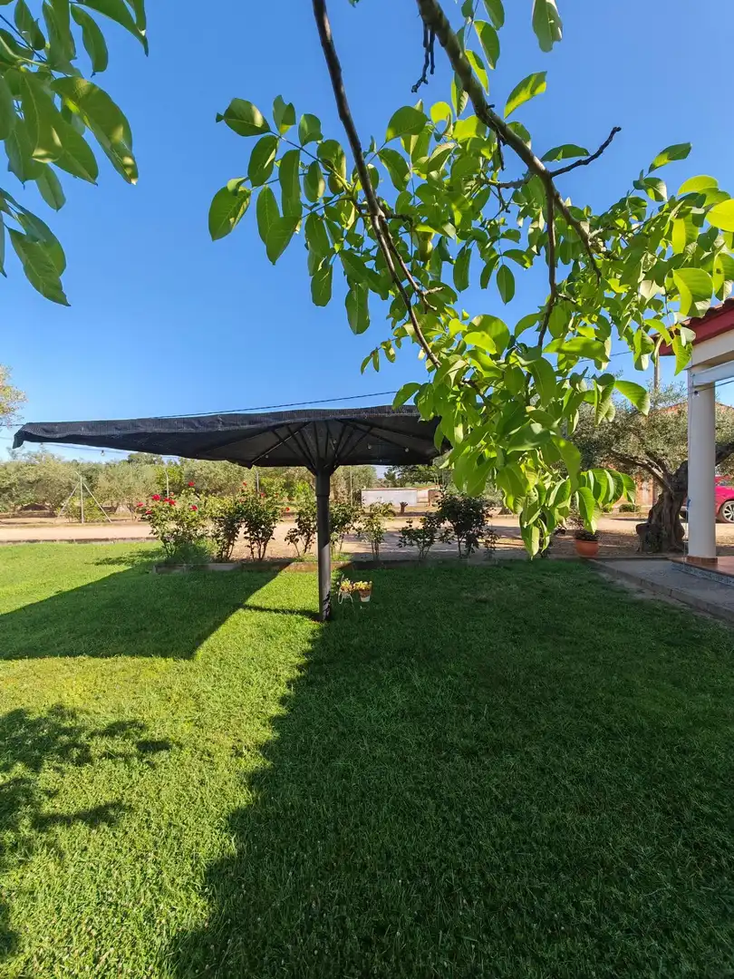 Jardín de Casa o chalet en venta en Medellín con Terraza