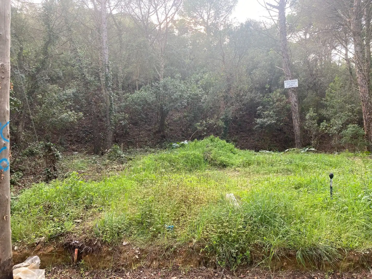 Maison avec jardin à vendre à Mas Pere - Río de Oro, imagen 19