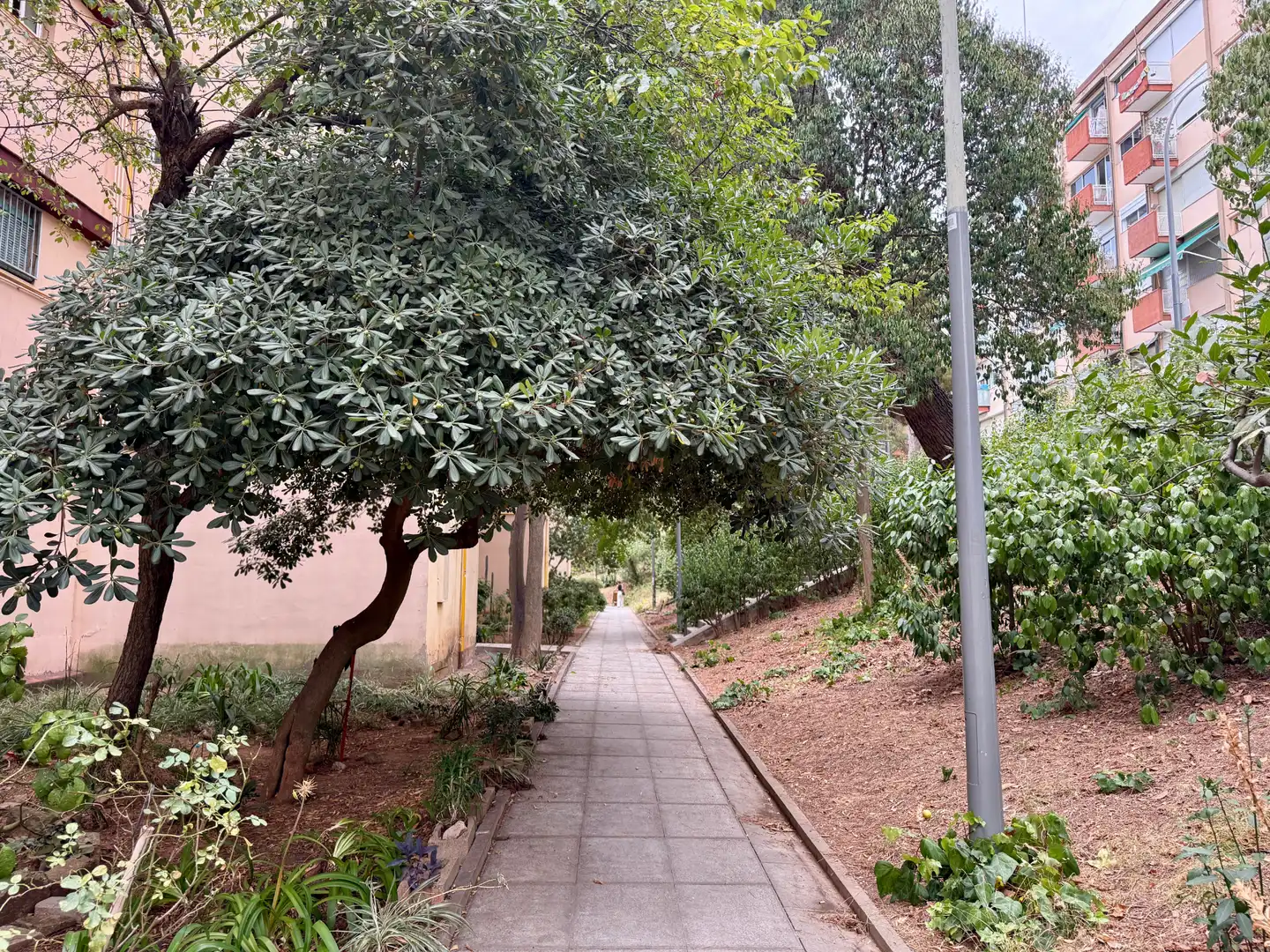 Vista exterior de Pis en venda en Barcelona amb Aire condicionat, Calefacció i Moblat