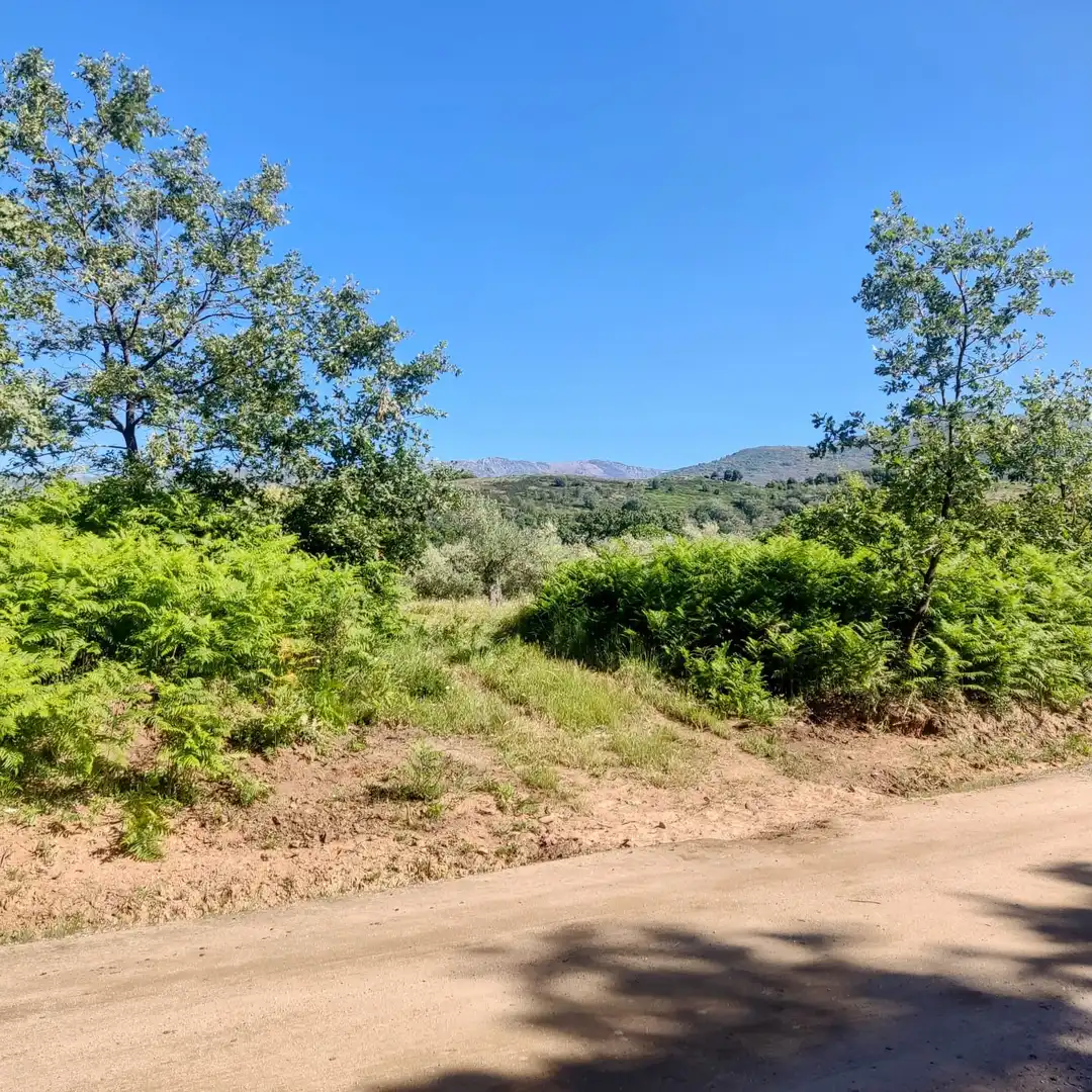 Land for sale in Jarandilla de la Vera