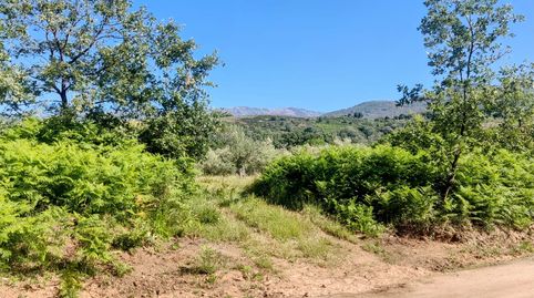 Foto 5 de Terreno en venta en N/a, -1, Jarandilla de la Vera, Cáceres