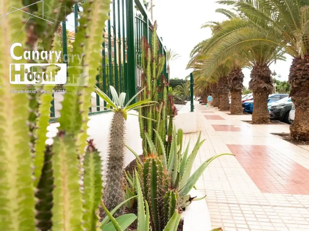 Mini appartamento con terrazza in vendita a Los Cristianos, imagen 18