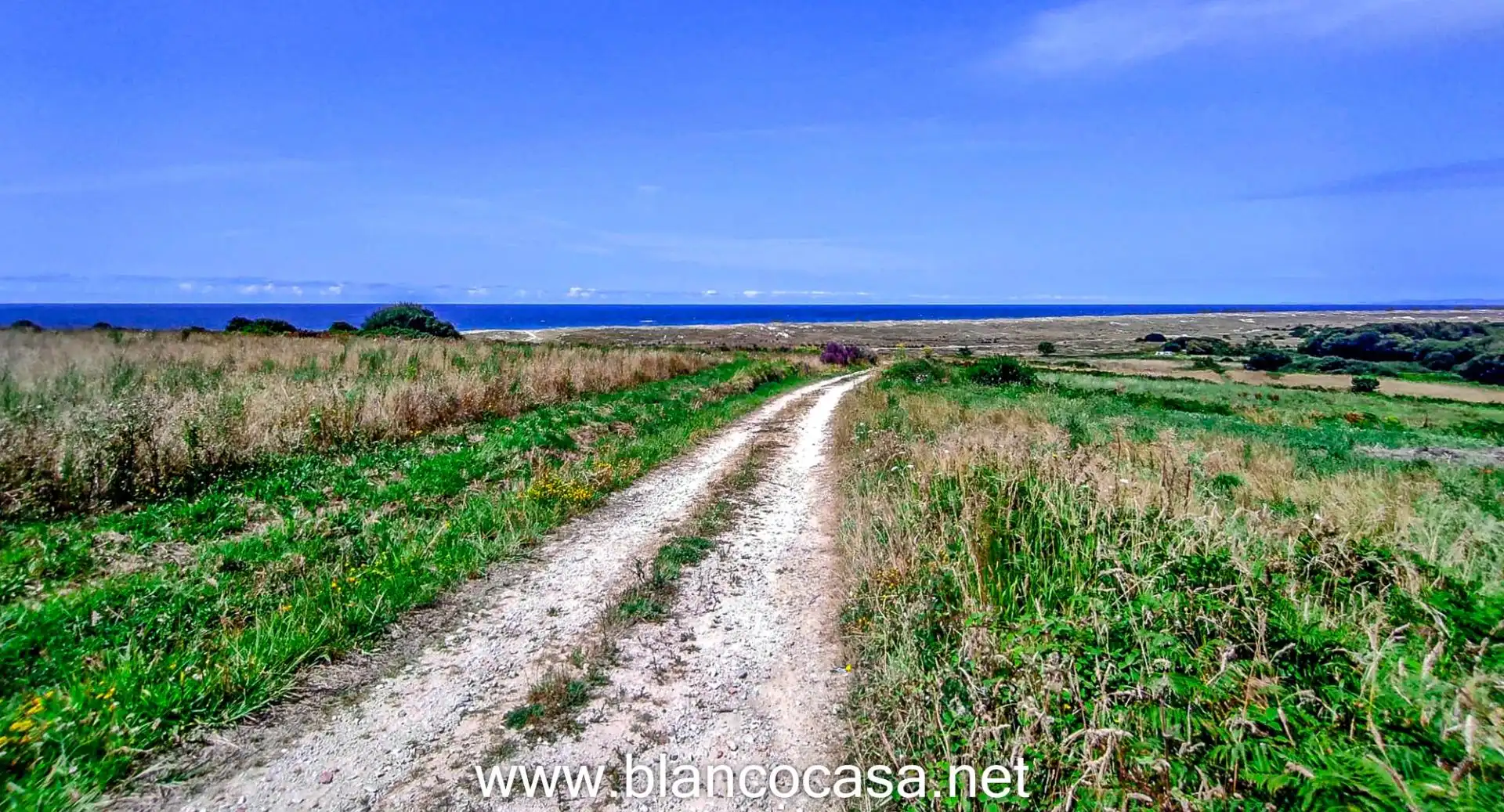 Land for sale in Carballo