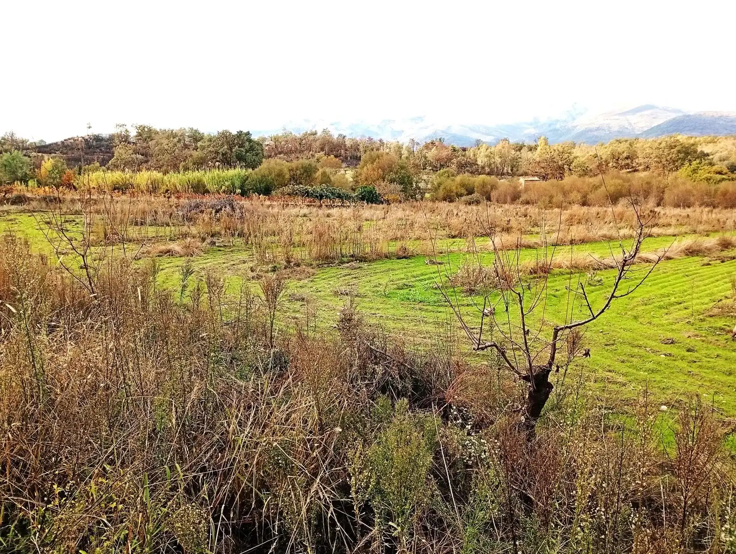 Terreni e lotti in vendita a Villanueva de la Vera, imagen 32