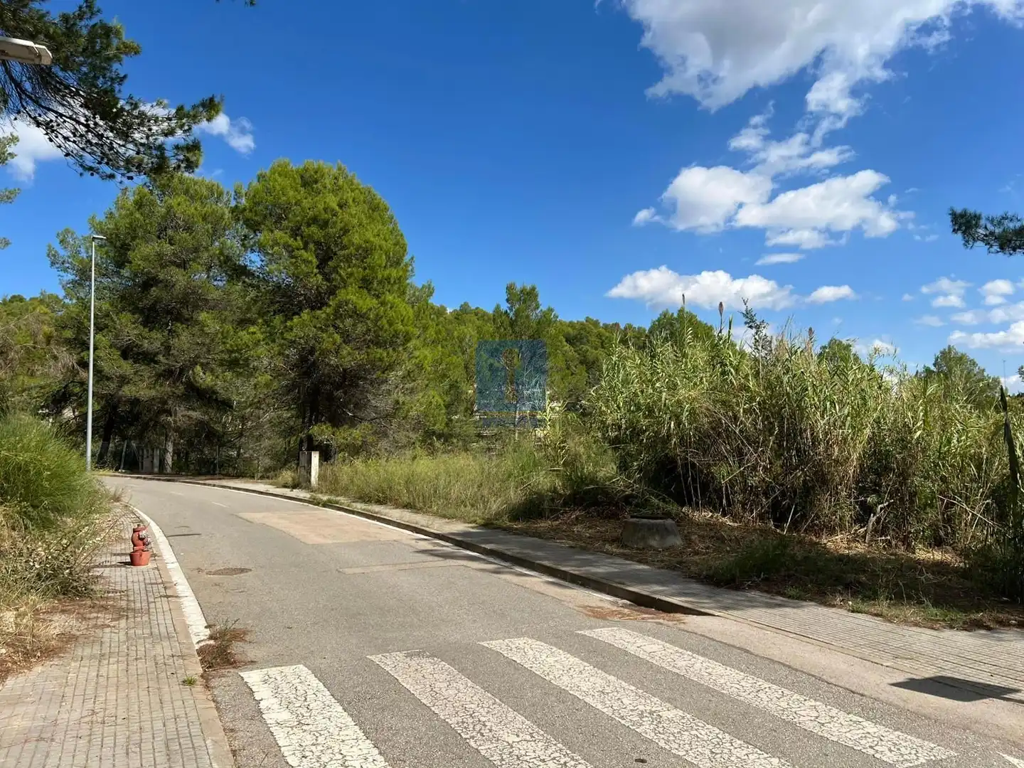 Terreny rústic en venda a Ampliació del Casc