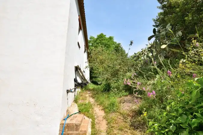 Jardín de Finca rústica en venta en Arriate con Jardín privado y Terraza