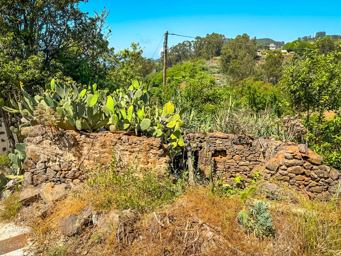 Casa o chalet en venta en Valleseco