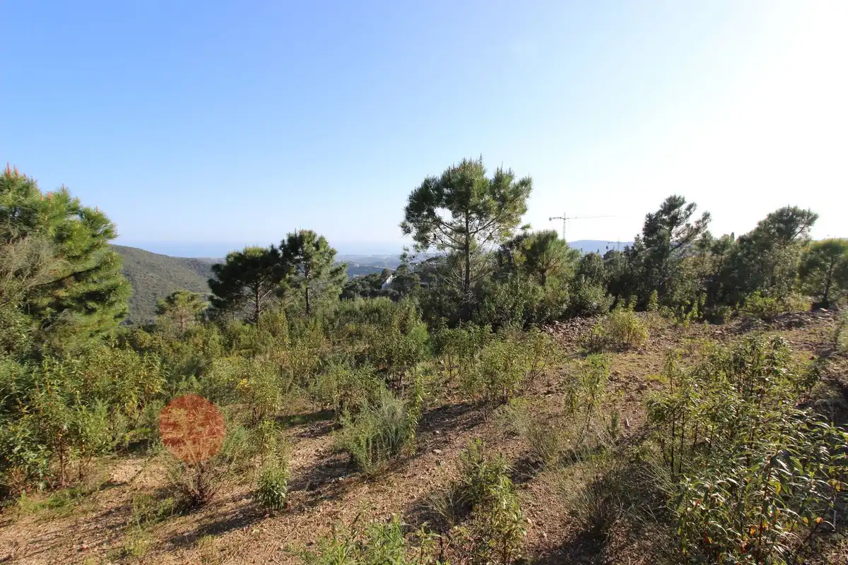 Terrenys i solars en venda a Montemayor - Marbella Club, imagen 15