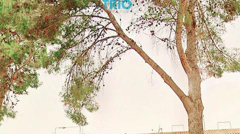 Photo 4 of Premises for sale in Font de Sa Cala, Capdepera