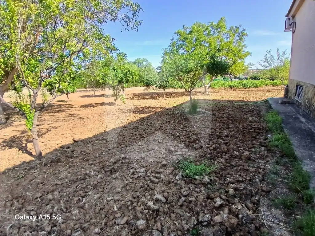 Villa avec jardin à vendre à calle del calero, imagen 30