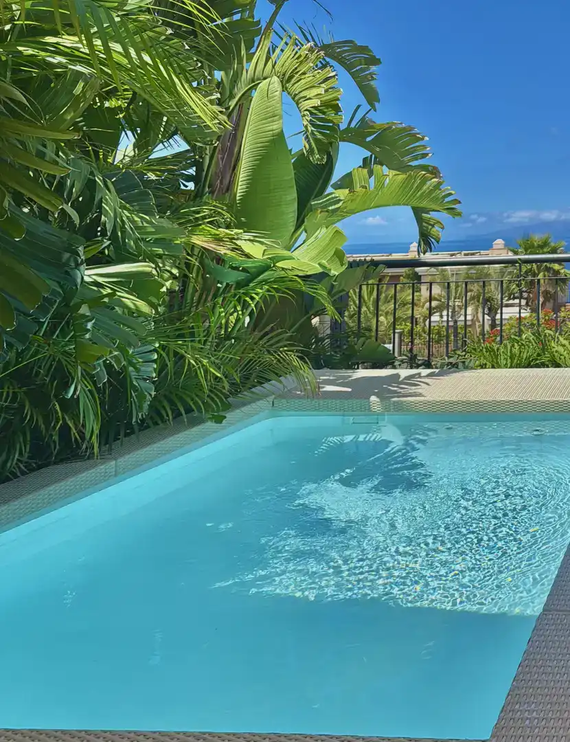 Piscina de Casa o xalet de lloguer en Puerto de Santiago
